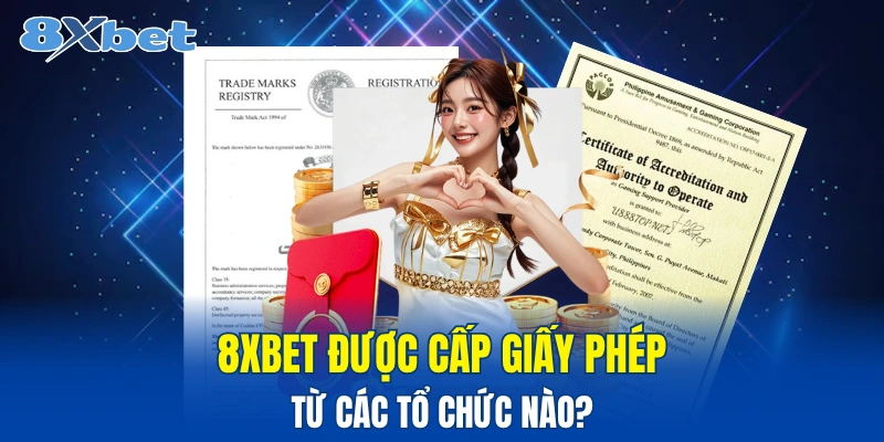 Tổng hợp giấy phép đơn vị đang sở hữu 